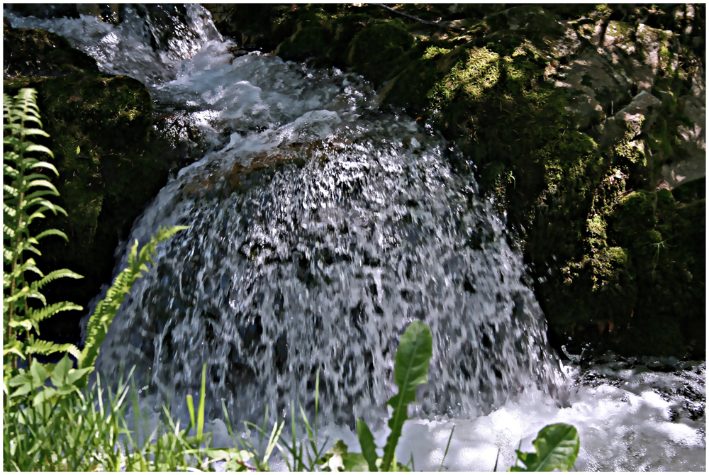 "Wassergugelhopf"