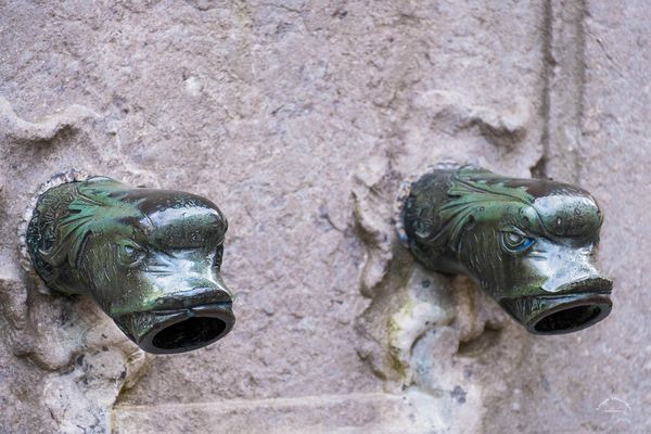 Wasserhähne / Water spouts (1560)