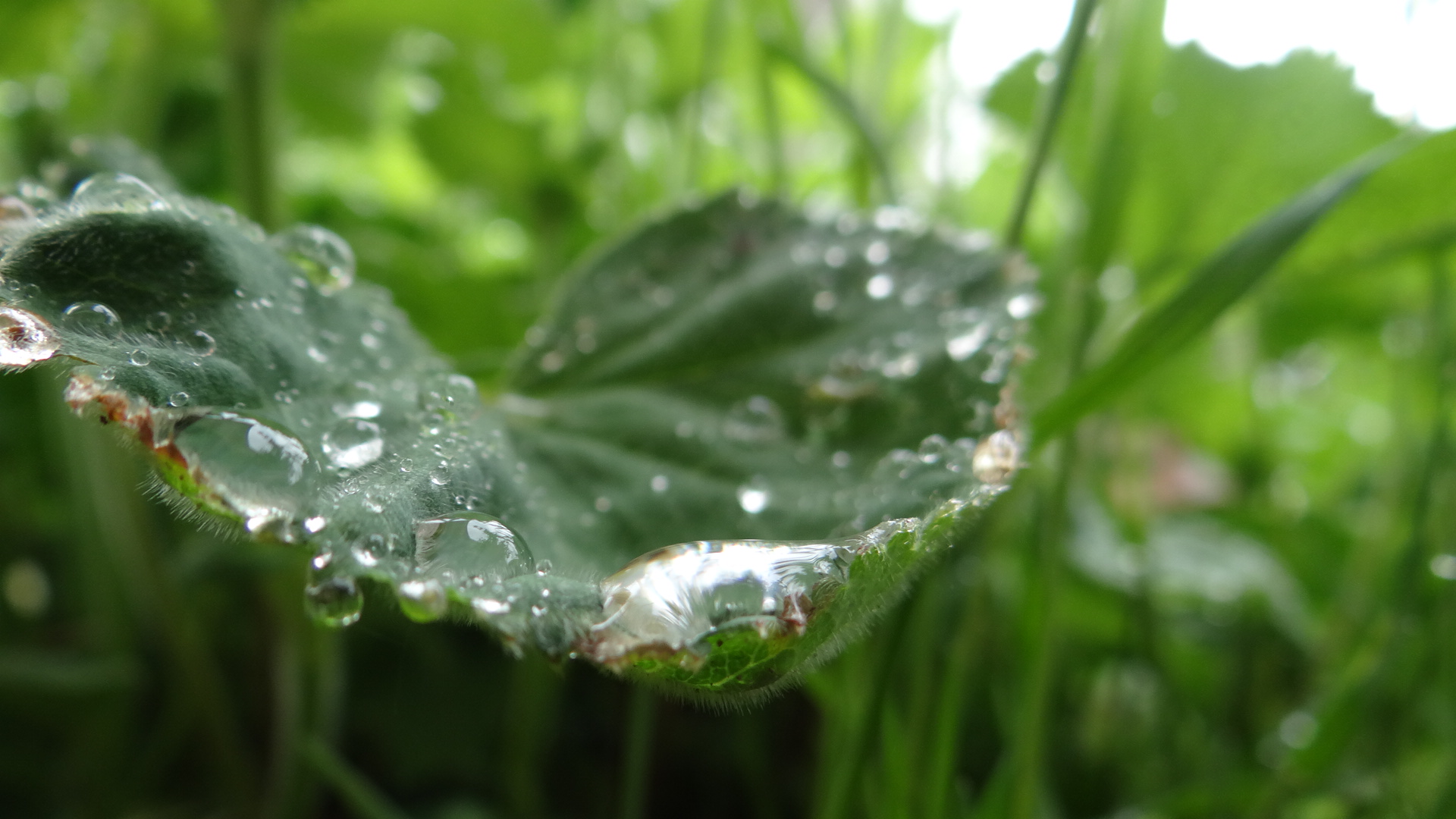 Wasser&Härchen