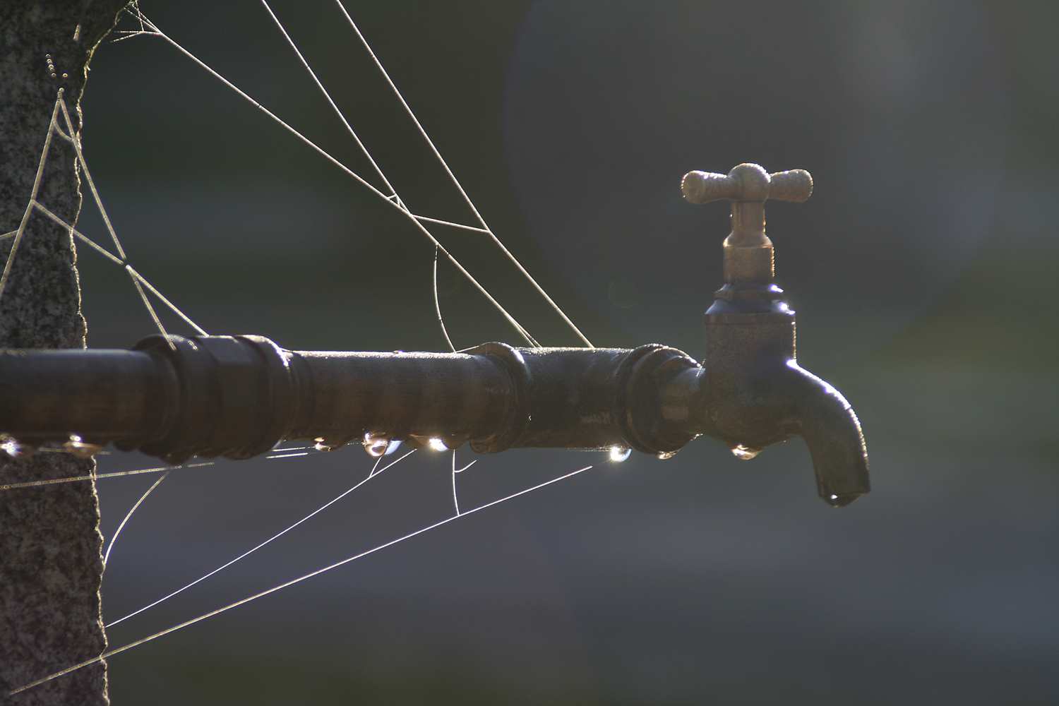 Wasserhahn