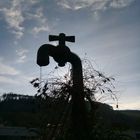 Wasserhahn im Gegenlicht