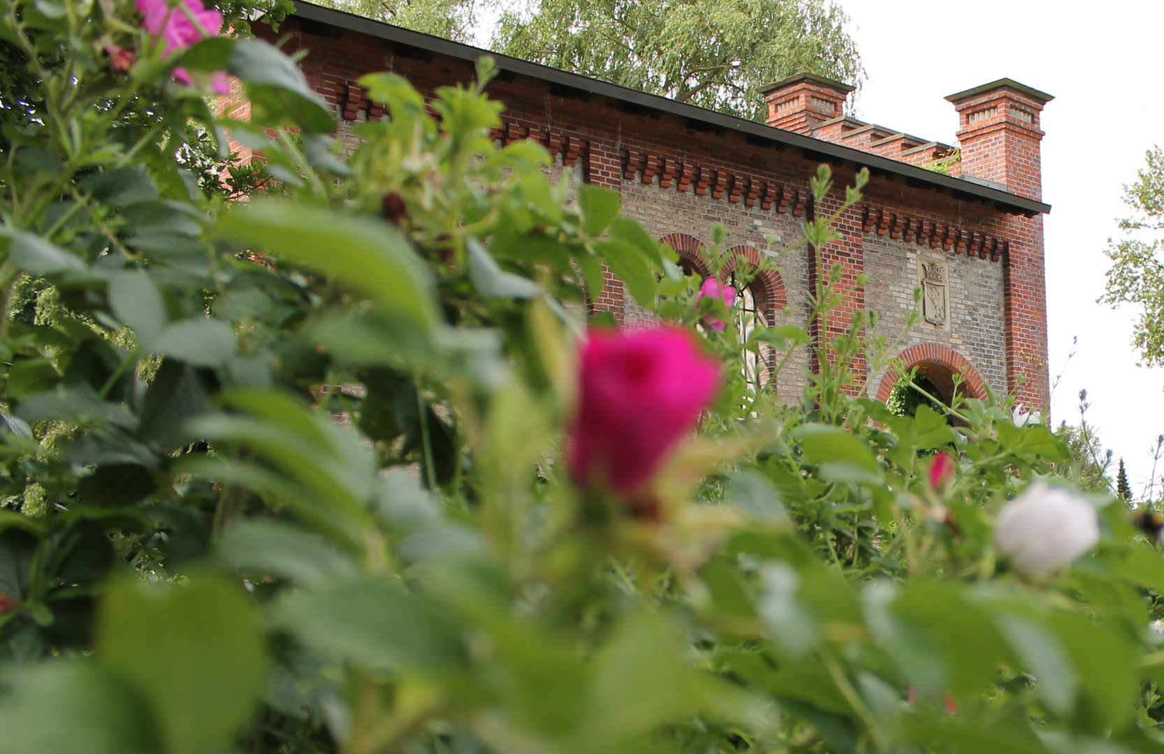 Wasserhorst Lesumdeich