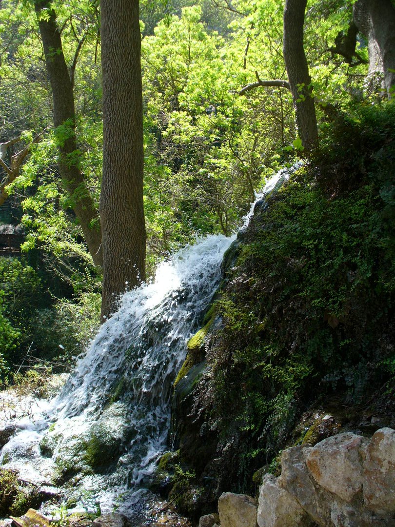 Wasserimfall.