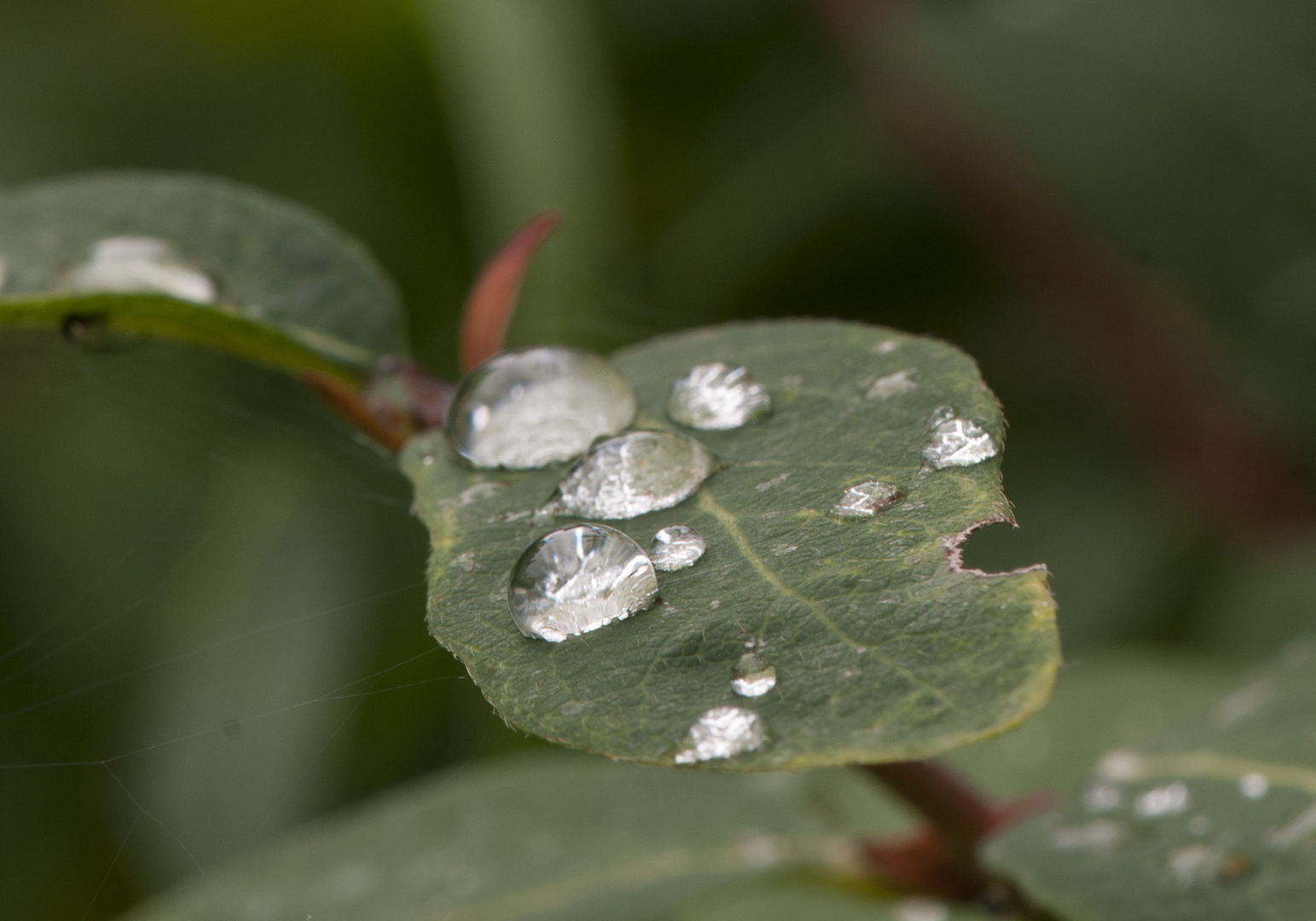 "Wasserimpressionen"