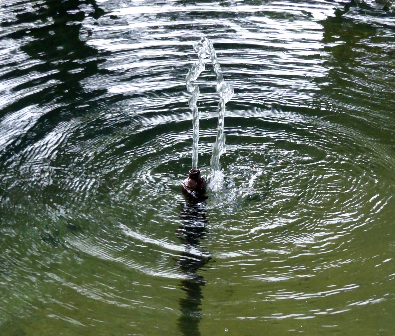 Wasserimpressionen I