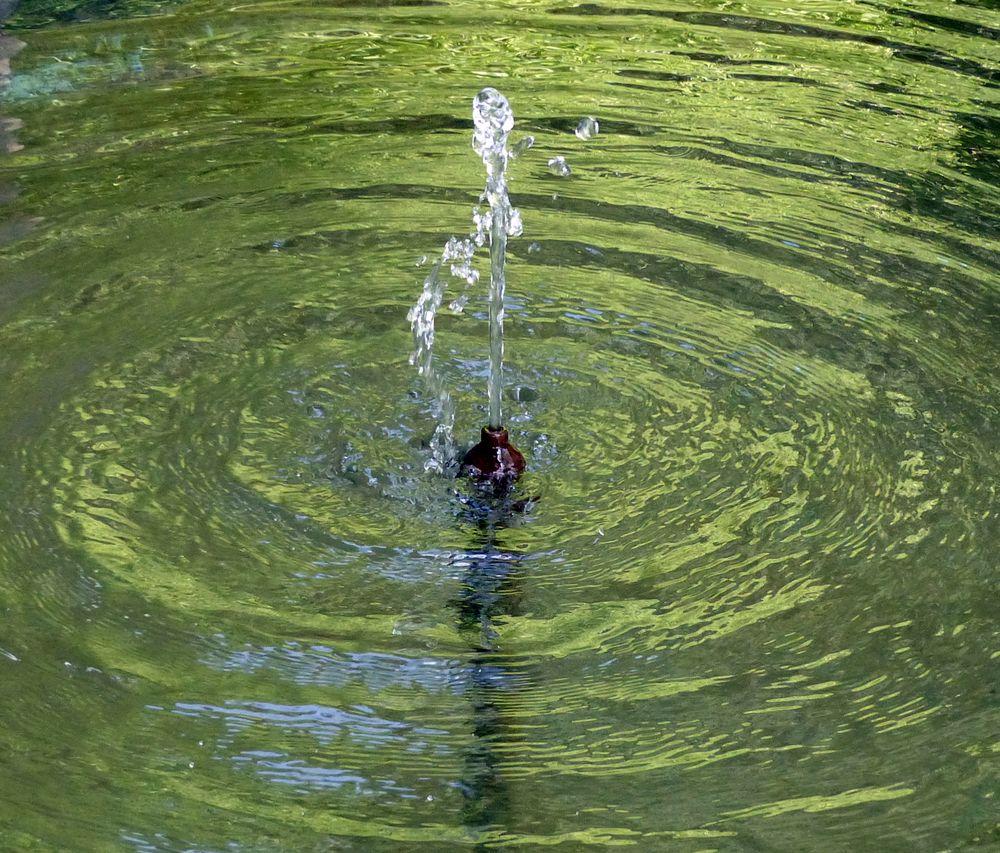 Wasserimpressionen II