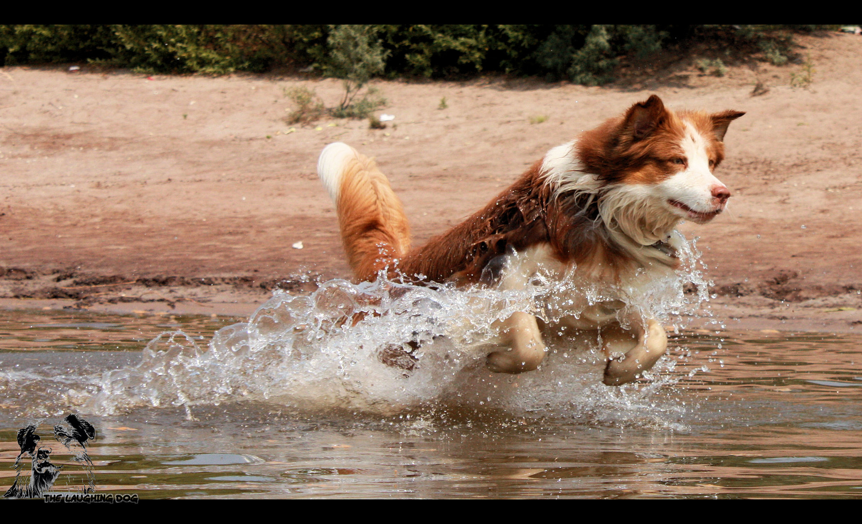 Wasserjumper