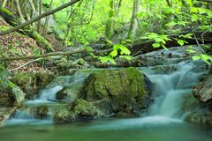 Wasserkaskaden am Wasserfall Bad Urach III