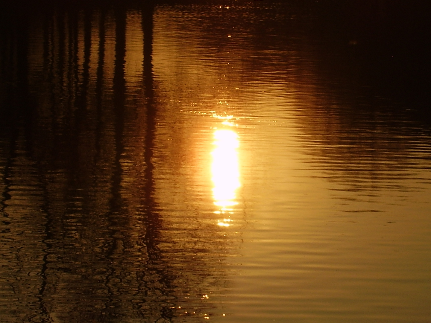 "Wasserkerze" / "Water Candle"