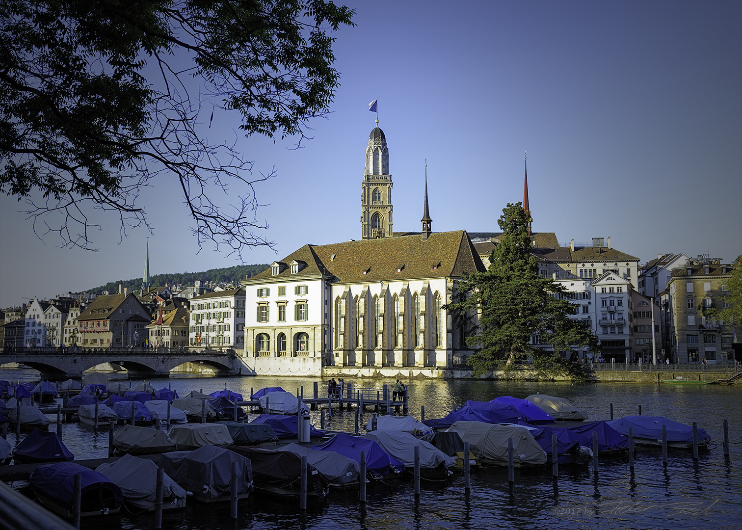 Wasserkirche und Grossmünster