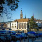 Wasserkirche und Grossmünster