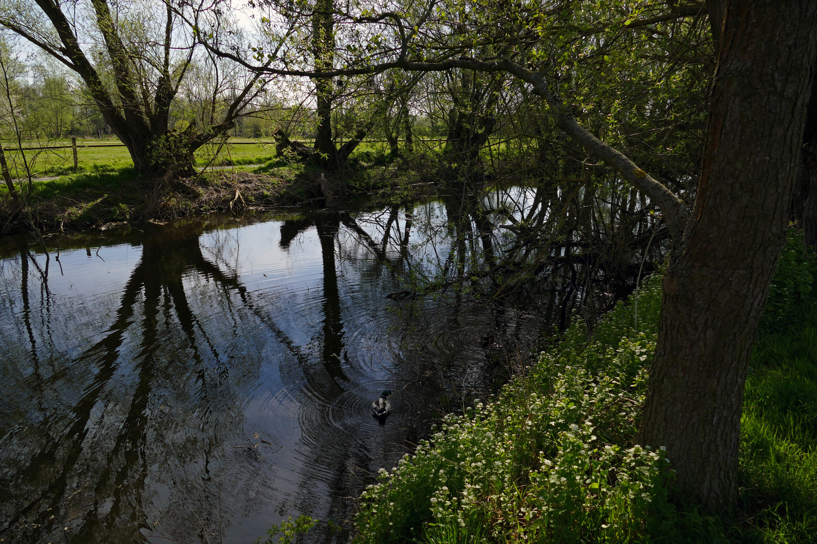 Wasserkreise