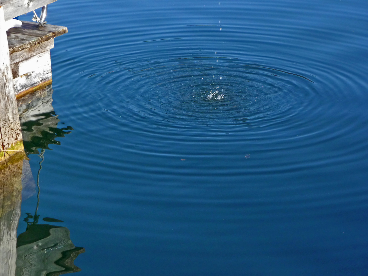 Wasserkreislauf