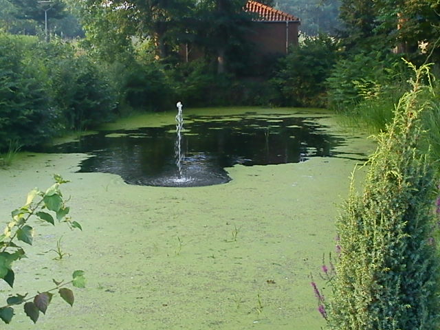 Wasserkreislauf