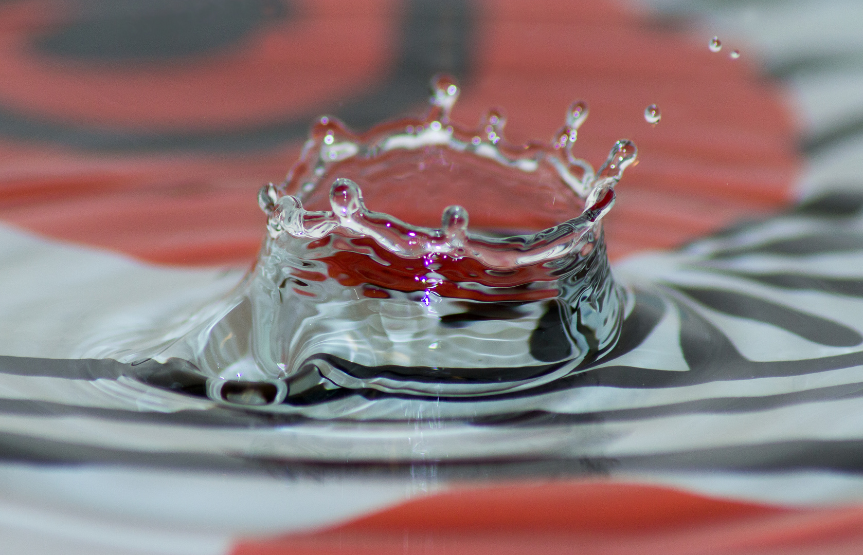 Wasserkrone mit Tiefenunschärfe