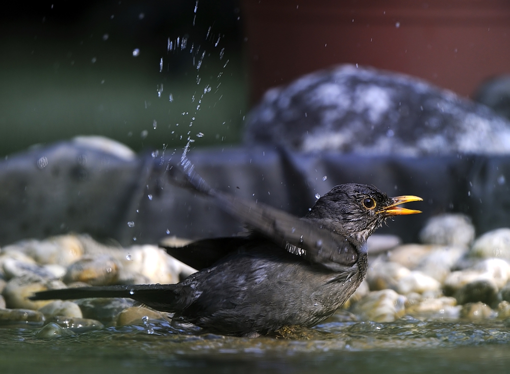 Wasserkühlung