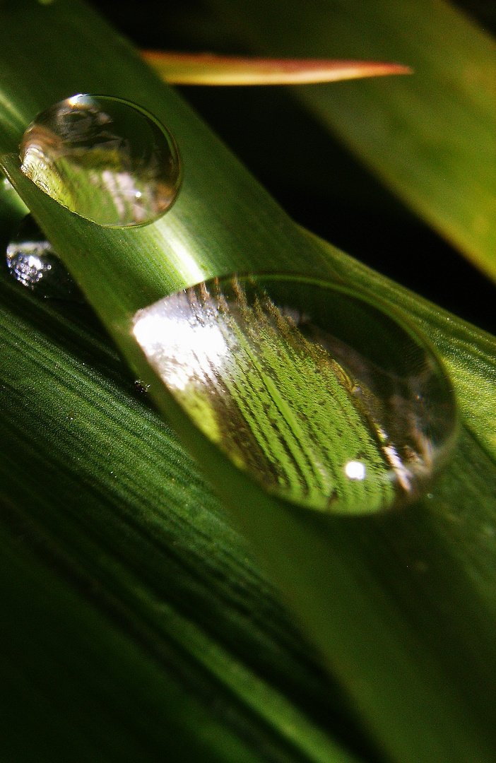 Wasserkugeln