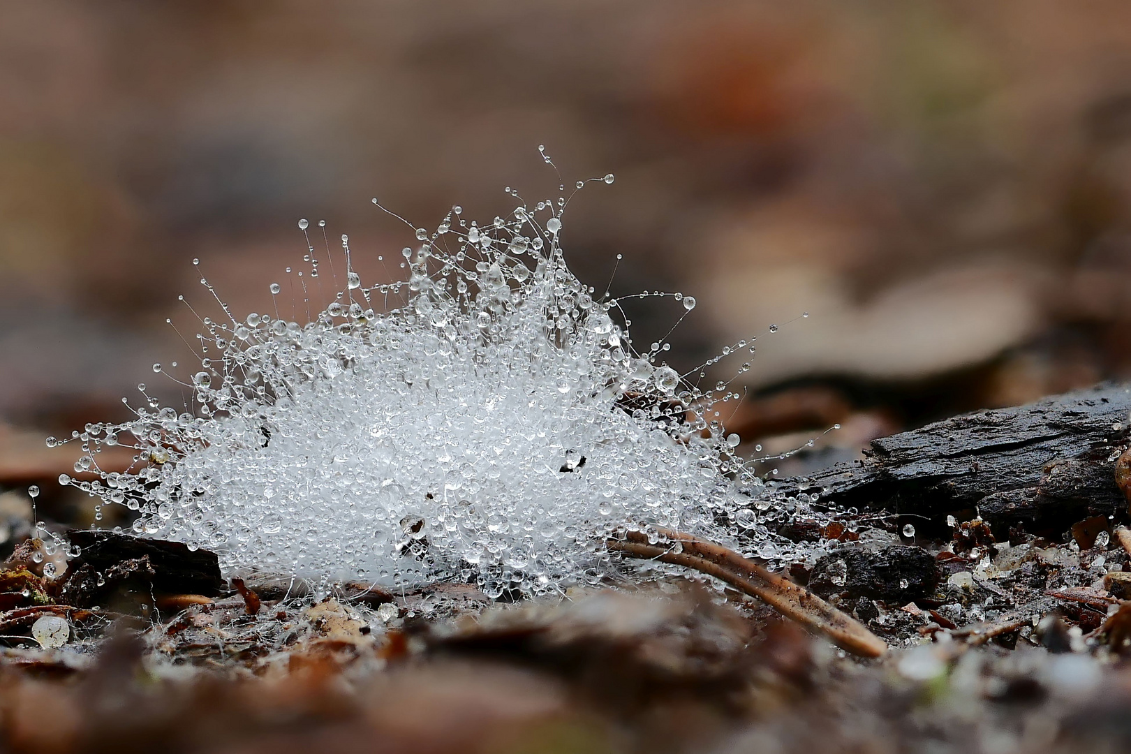 Wasserkunst ...