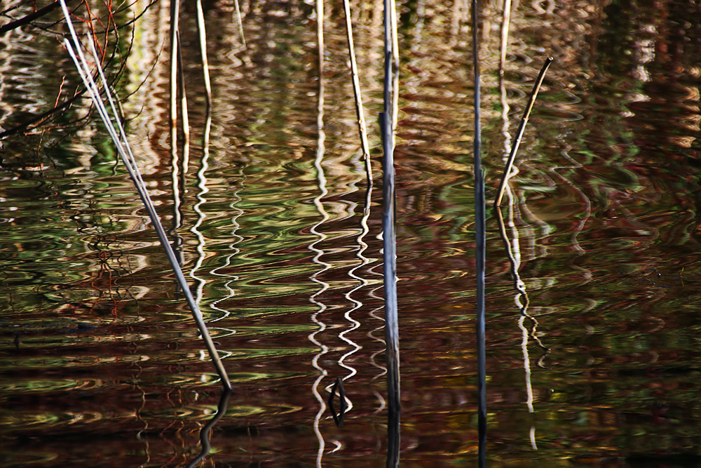 Wasserkunst