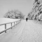 Wasserkuppe 1.12.2017