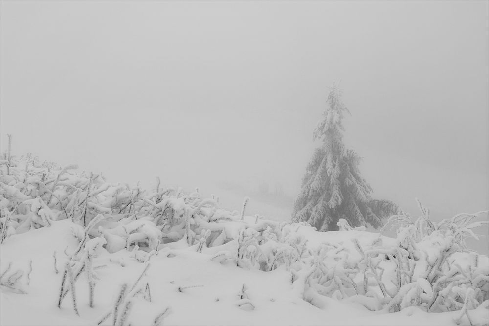 Wasserkuppe 1.12.2017