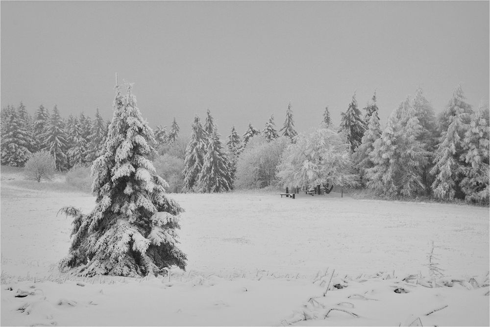 Wasserkuppe 1.12.2017