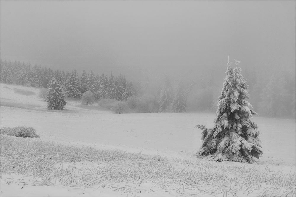 Wasserkuppe 1.12.2017