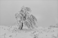 Wasserkuppe 1.12.2017