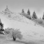 Wasserkuppe 1.12.2017