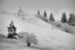 Wasserkuppe 1.12.2017