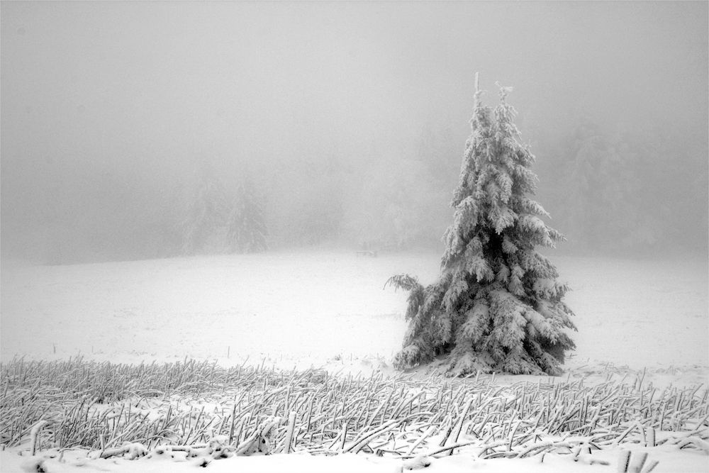 Wasserkuppe 1.12.2017