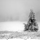 Wasserkuppe 1.12.2017