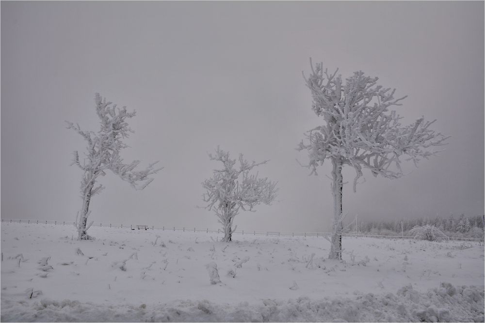 Wasserkuppe 1.12.2017