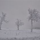 Wasserkuppe 1.12.2017