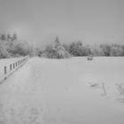 Wasserkuppe 1.12.2017