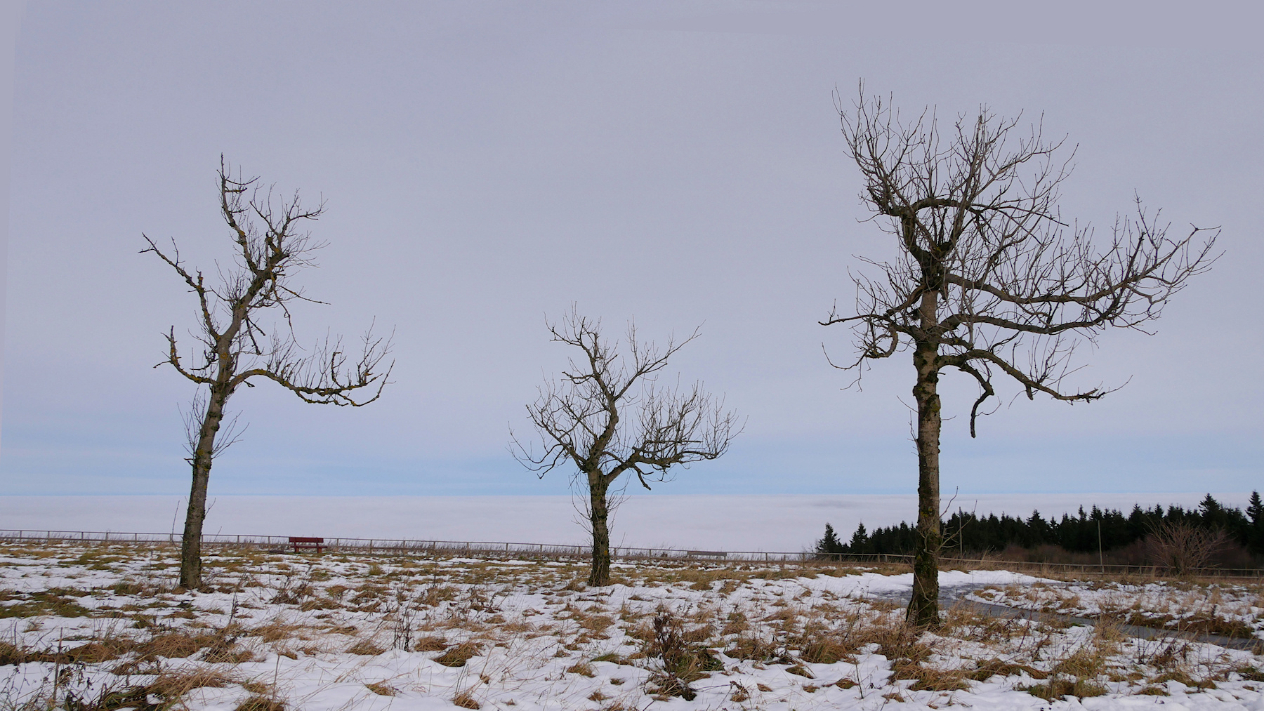 Wasserkuppe 16.11.17