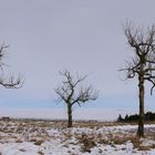 Wasserkuppe 16.11.17