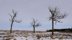 Wasserkuppe 16.11.17