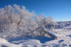 Wasserkuppe 17.1.2017