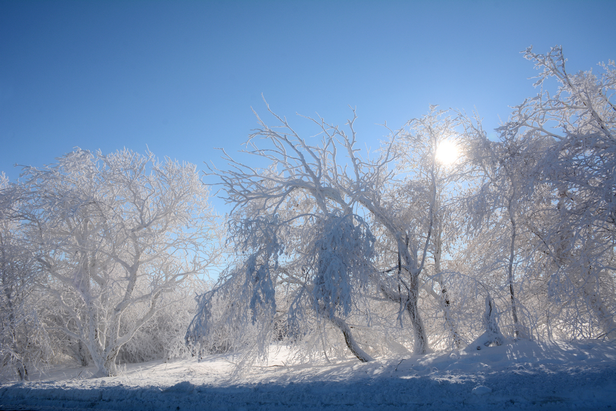 Wasserkuppe 17.1.2017