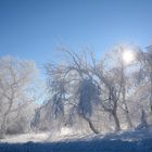 Wasserkuppe 17.1.2017