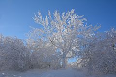 Wasserkuppe 17.1.2017