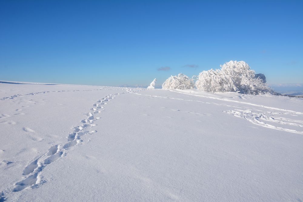 Wasserkuppe 17.1.2017