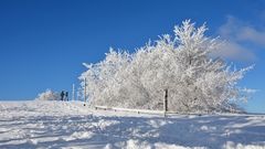 Wasserkuppe 17.1.2017