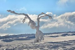 Wasserkuppe 17.1.2017