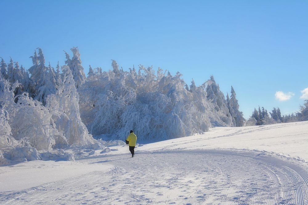 Wasserkuppe 17.1.2017