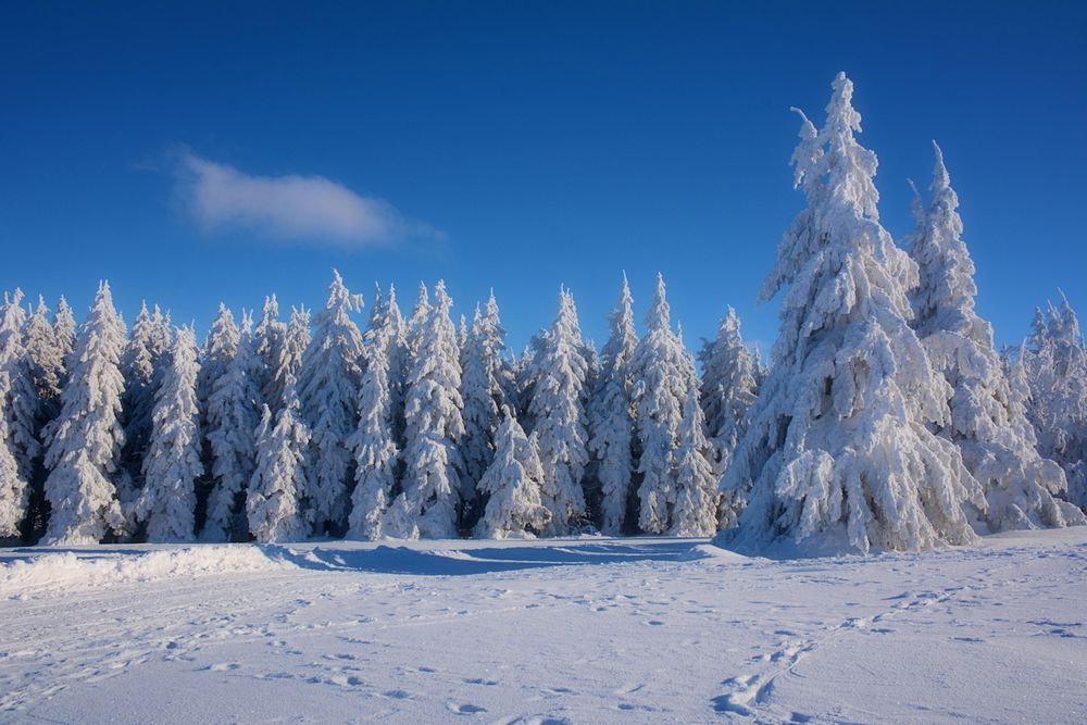 Wasserkuppe 17.1.2017