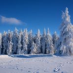 Wasserkuppe 17.1.2017