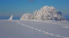 Wasserkuppe 17.1.2017