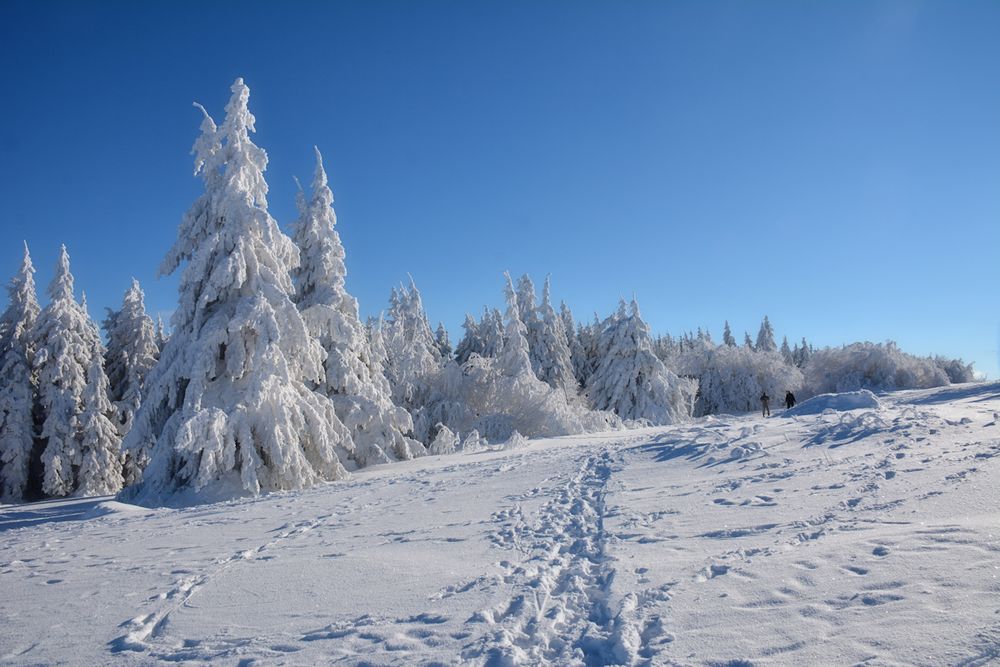 Wasserkuppe 17.1.2017